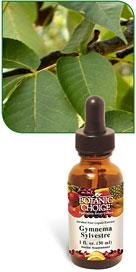 Gymnema Sylvestre herbal supplement for healthy glucose levels